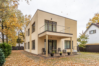 Ziepniekkalns, Basu iela